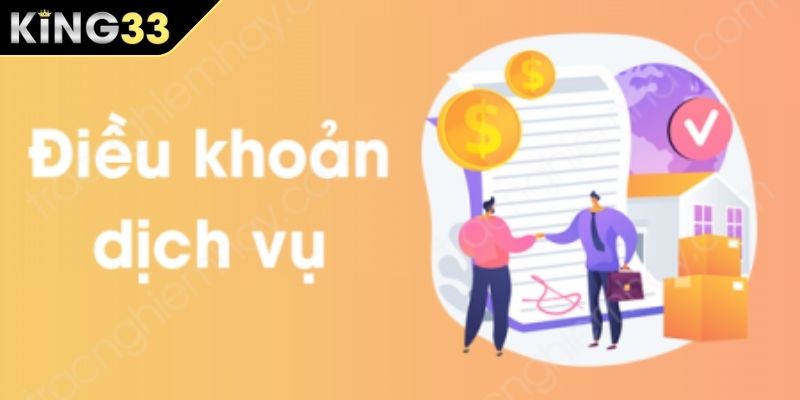Điều khoản về dịch vụ khi đăng ký thành viên chính thức Điều khoản về dịch vụ khi đăng ký thành viên chính thức