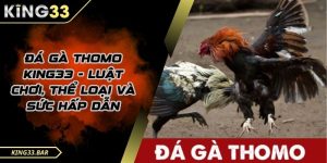 Đá gà Thomo King33 là bộ môn thể thao hấp dẫn.