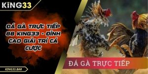Đá gà trực tiếp 88 là gì?