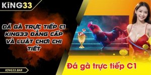 Đá gà trực tiếp C1 kịch tính